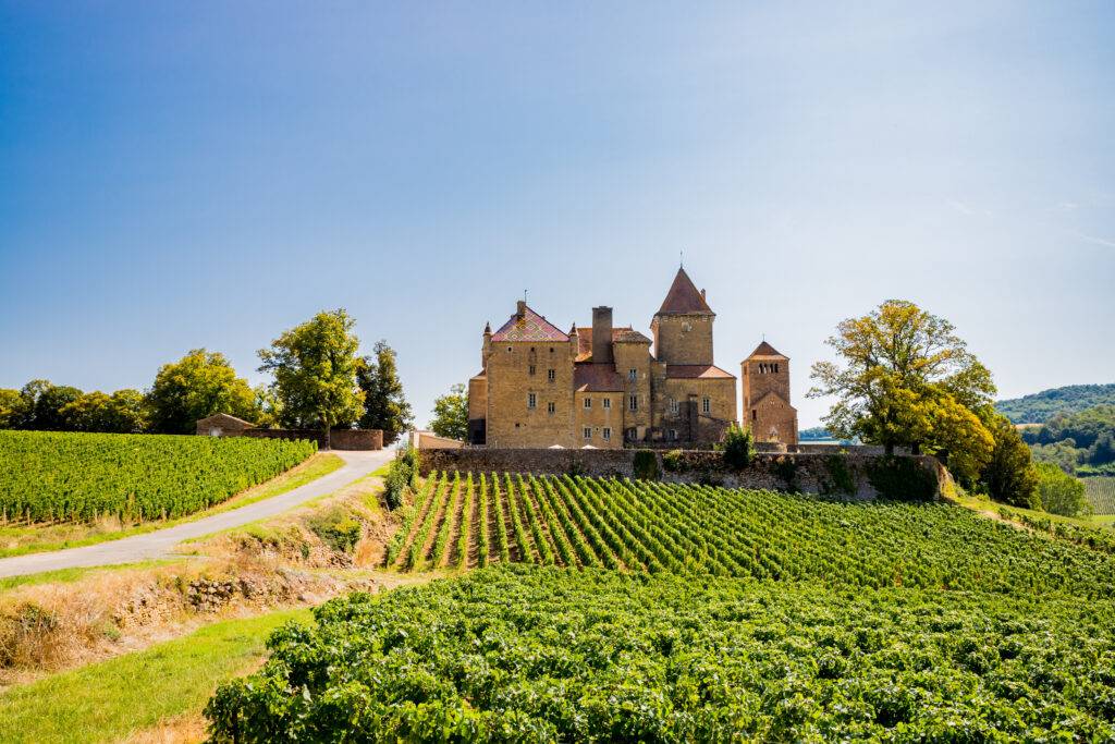 Œnotourisme Bourgogne : L...