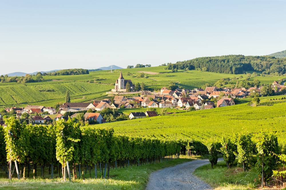 Route des vins d’Alsace :...