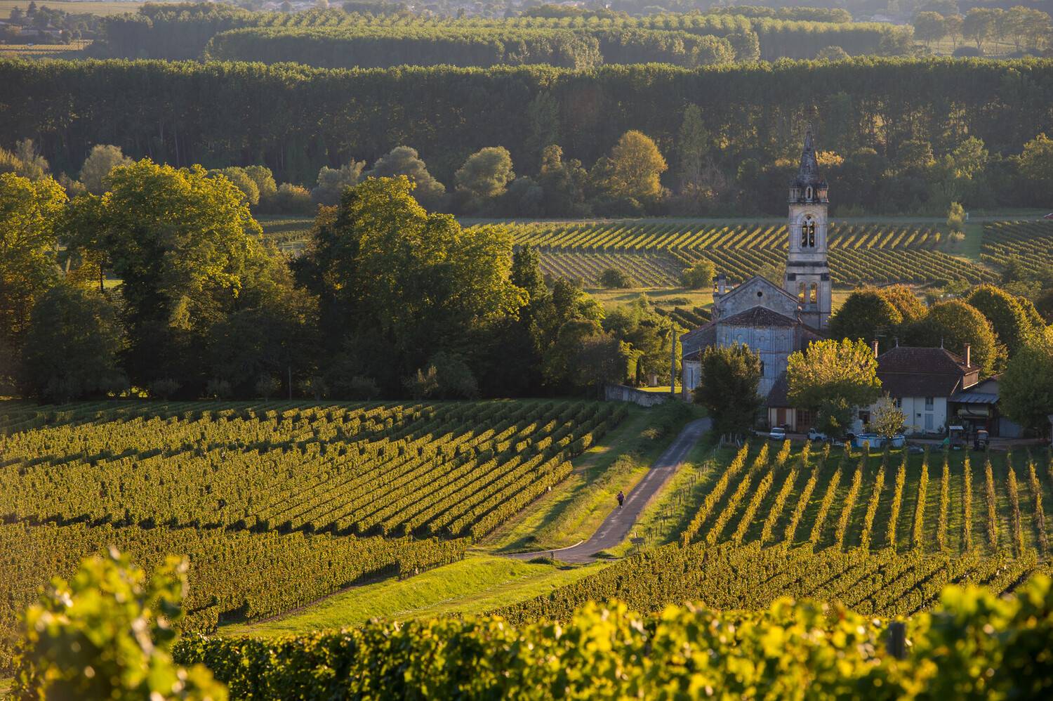 Route des vins des Graves e...