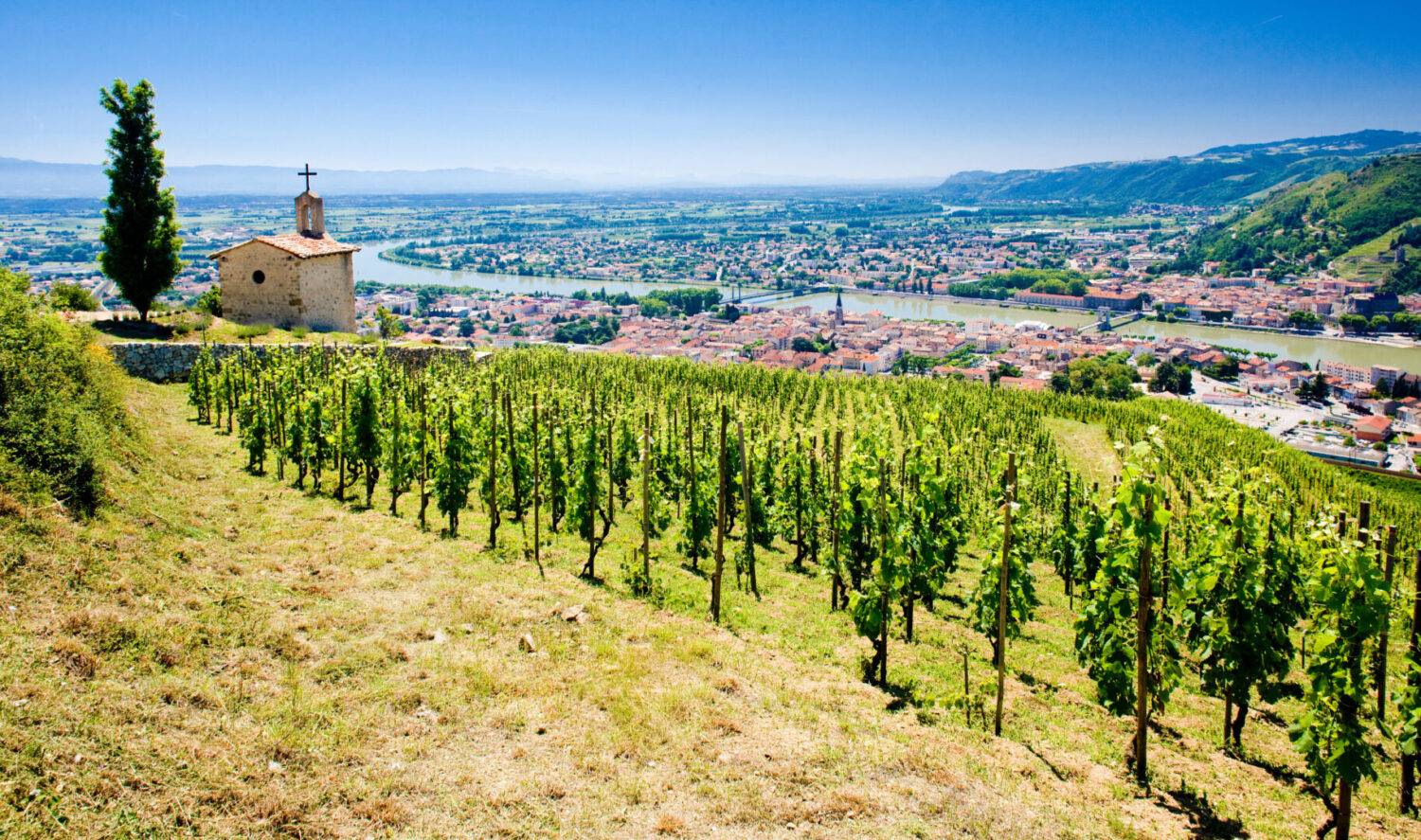 Route des vins de la Côte ...