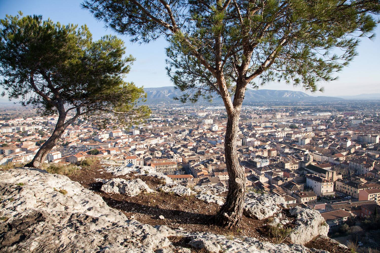 Visitez Cavaillon : un joya...