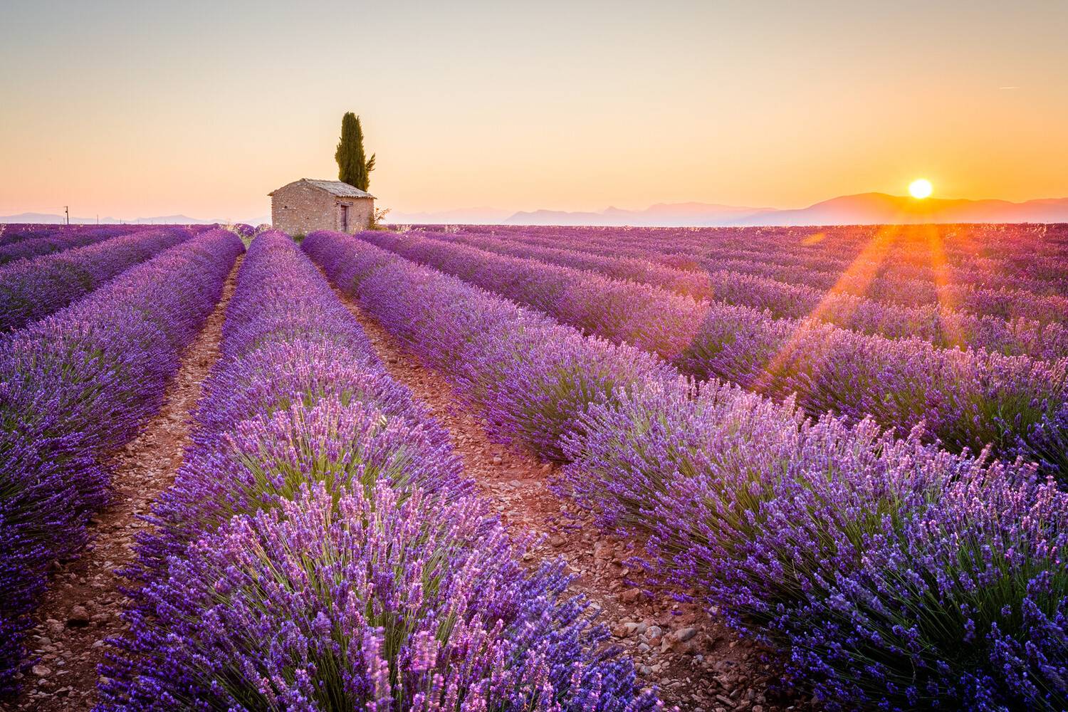 Cosa vedere in Provenza: fr...