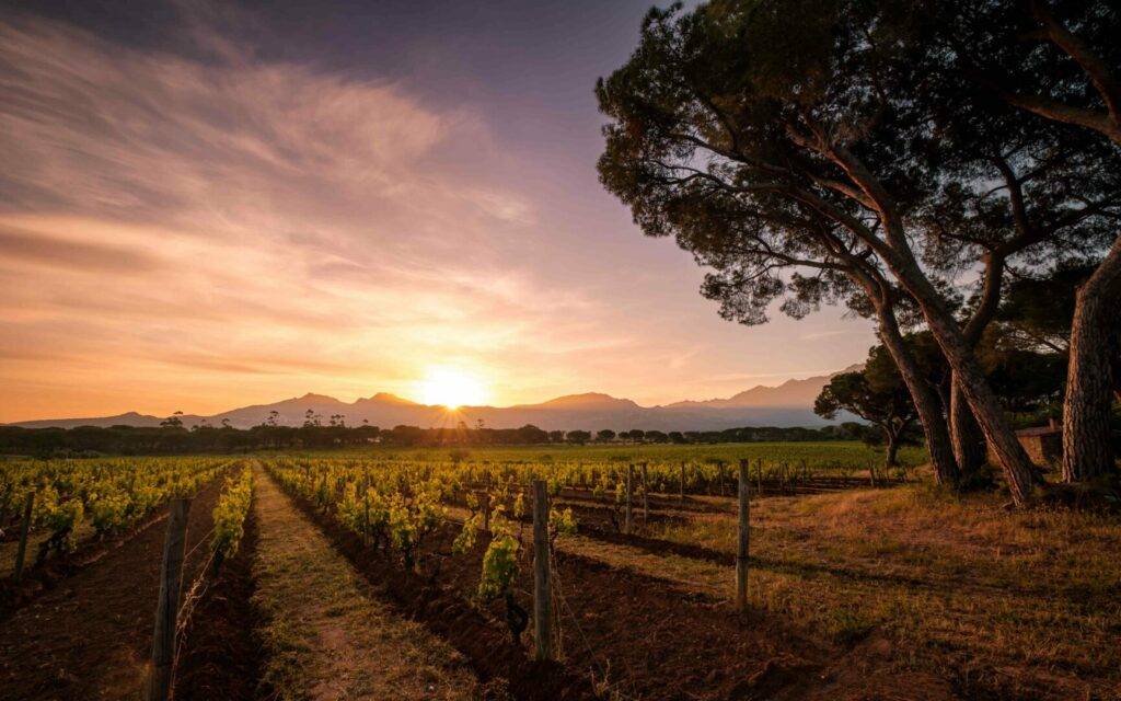 Cosa vedere in Corsica: gui...