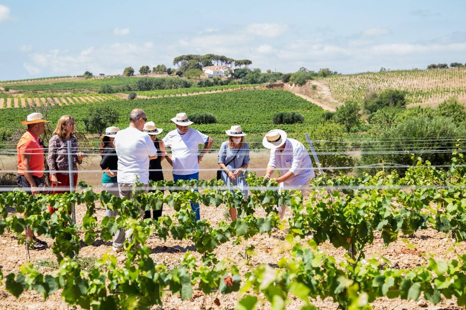 À propos des vignerons - Cava Rovellats - Photo - Winalist
