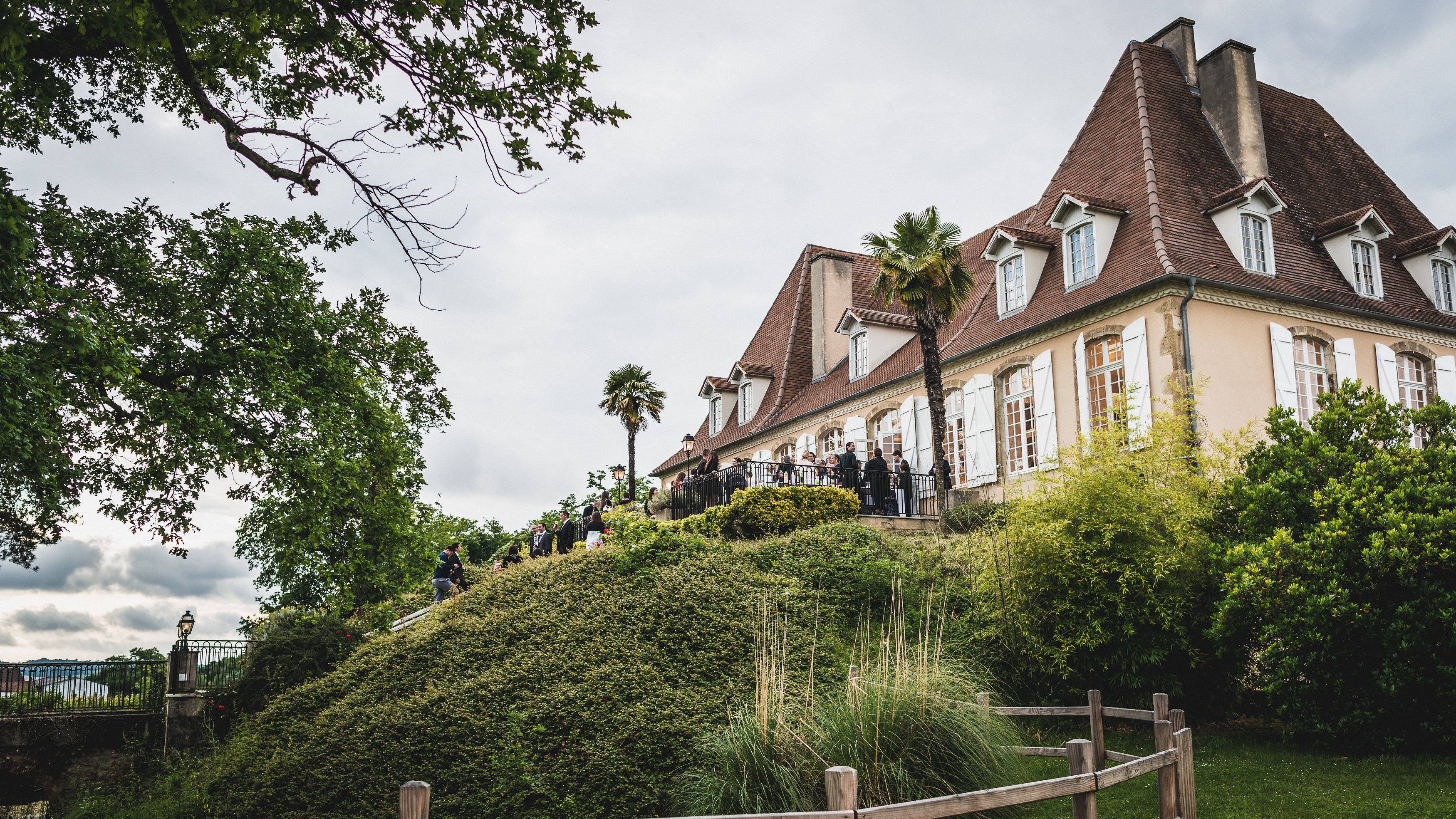 Land van wijnstokken en kunst