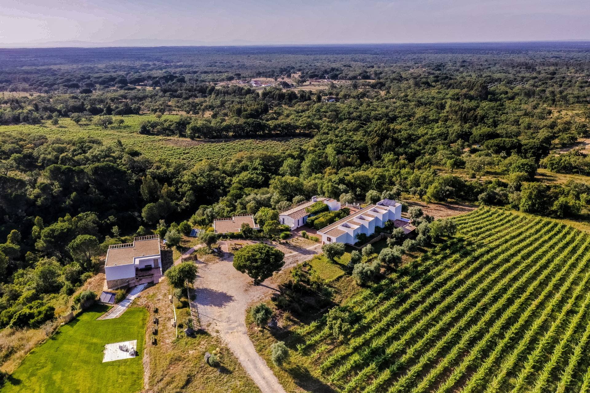 A Serenada - Winalist