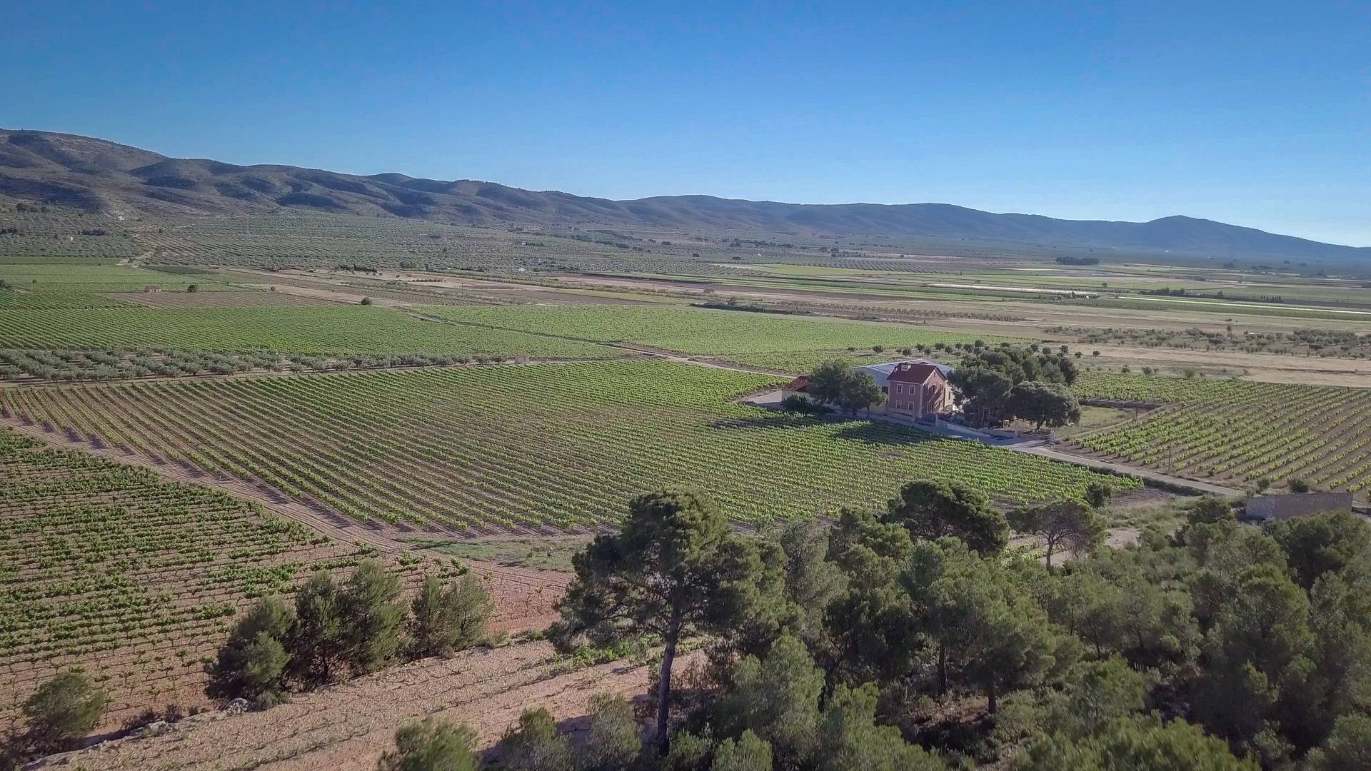 Casa Balaguer - Winalist