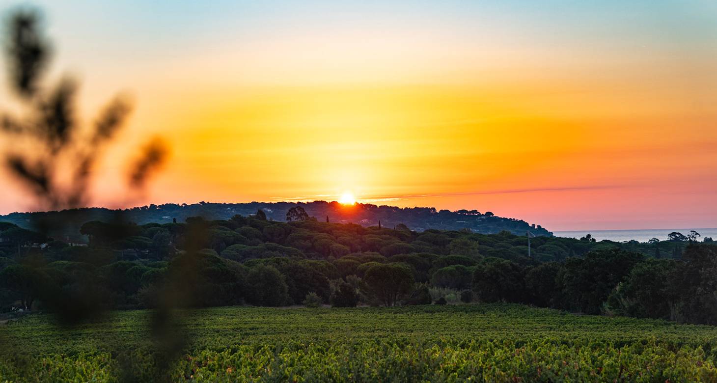 Best things to do in Saint-Raphaël: Your next travel guide - 2026 - 16 - saint raphael things to do saint raphael things to do - Best things to do in Saint-Raphaël: Your next travel guide - 2026 - 15