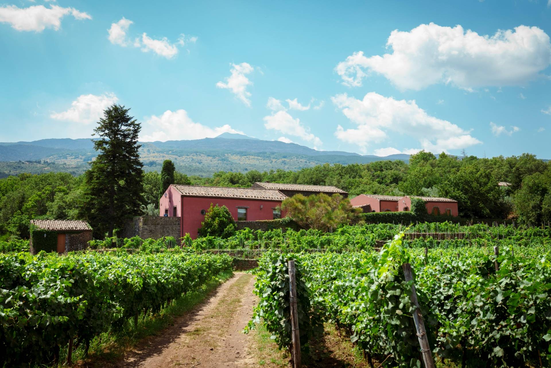 Terrazze dell'Etna - Winalist