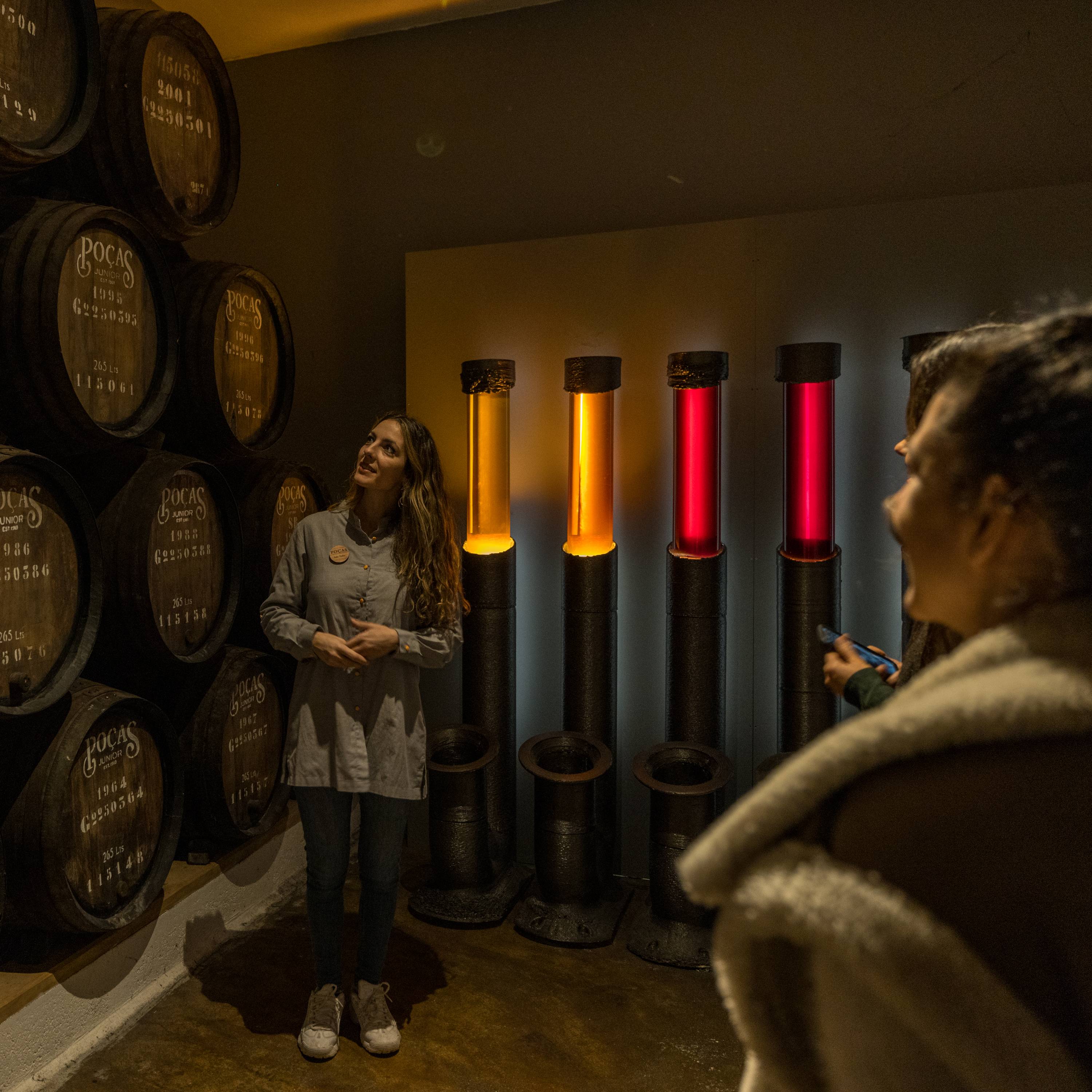 Tour e degustazione della prima esperienza di Poças - Degustazione di 3 vini Porto