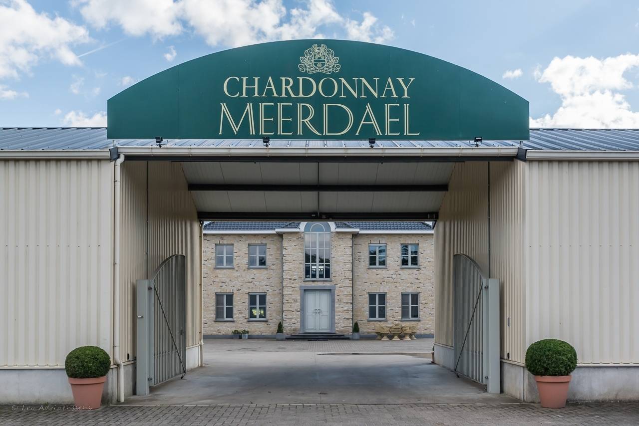 Visita à empresa e degustação de Chardonnay Meerdael