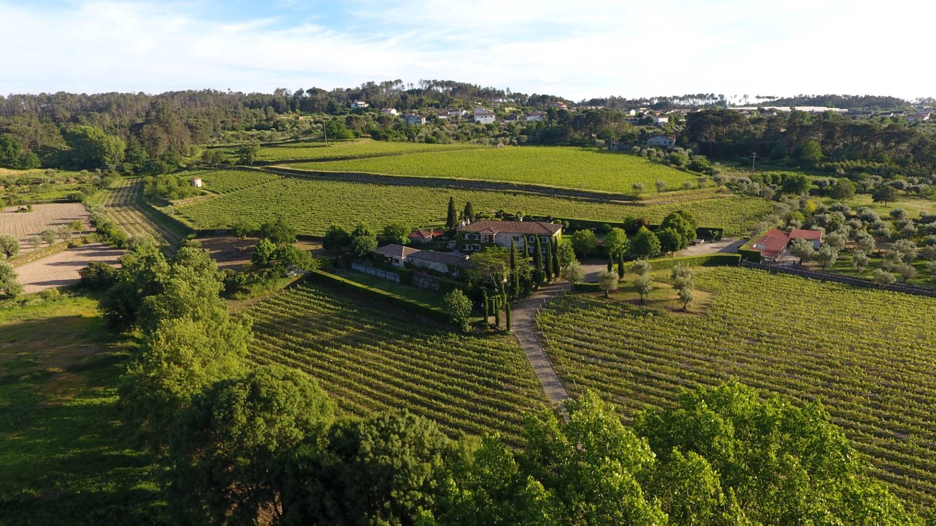 Visiter Tondela : Flâneries locales et douceur rurale - 2026 - 10 - tondela tondela - Visiter Tondela : Flâneries locales et douceur rurale - 2026 - 9