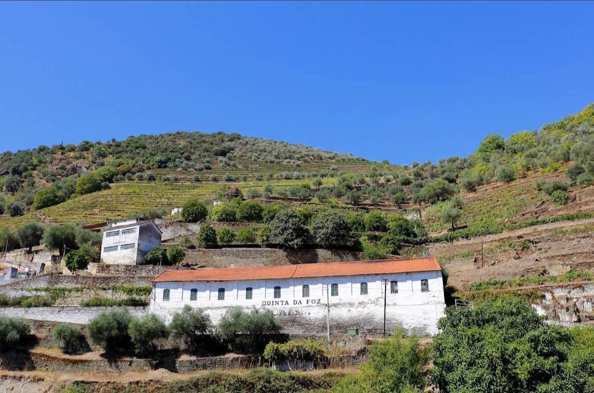 Quinta da Foz - Winalist