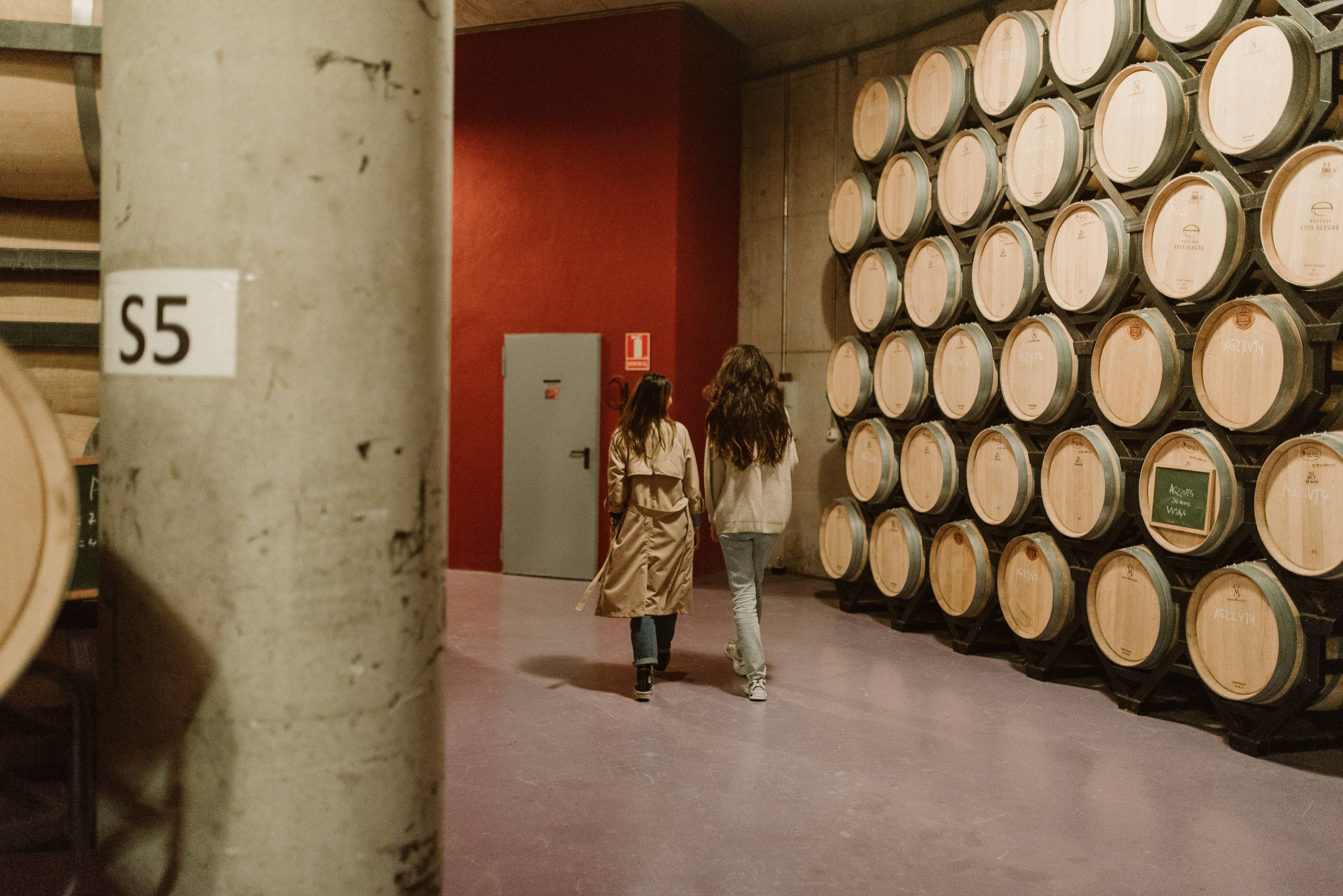 Winery visit and tasting - Bodegas Luis Alegre - Winalist