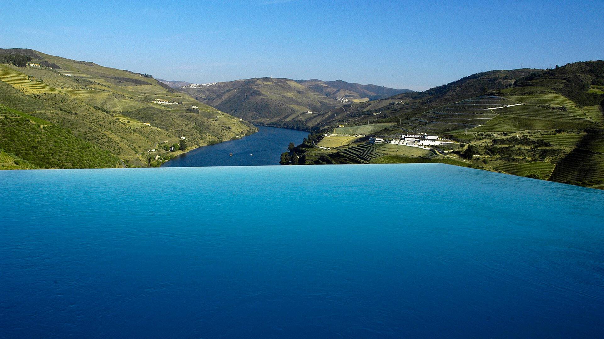 Visita & Pasto a Tema Vino