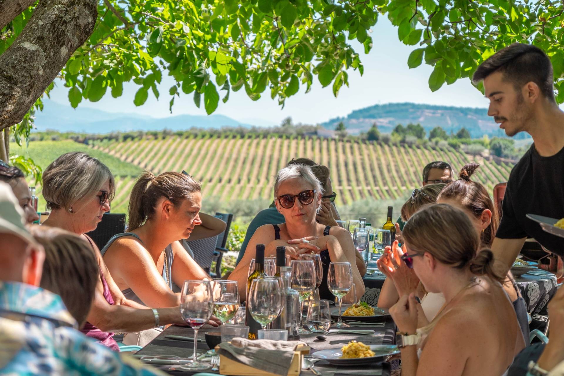 Tour em Grupo Pequeno pelo Vale do Douro com Recolha no Hotel