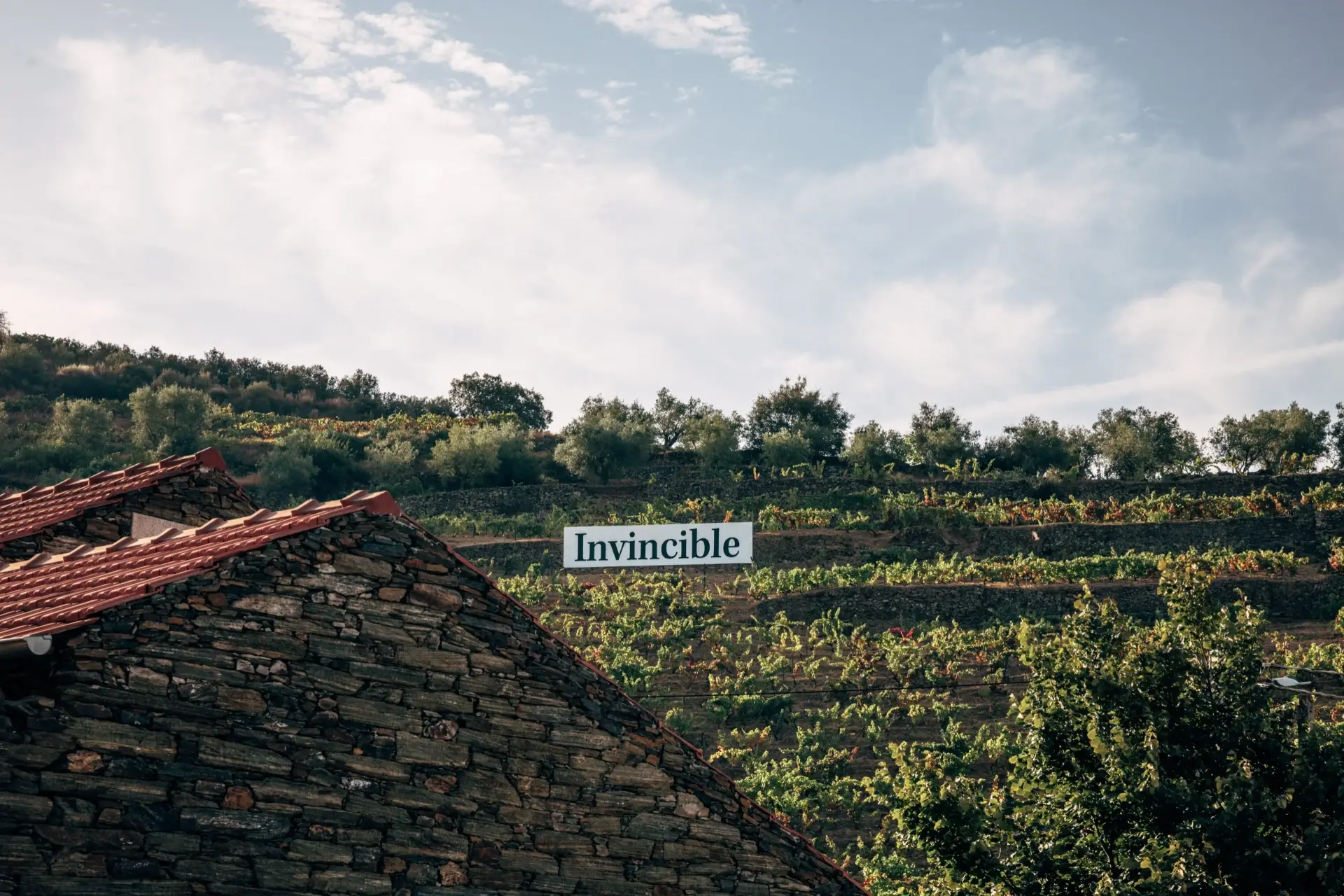 Invincible Wines - Winalist
