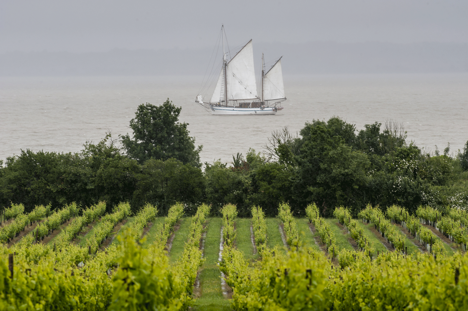 Route des Vins du Médoc : Itinéraire, carte et circuit - 2026 - 17 - médoc, route des vins du médoc, route des châteaux du médoc médoc, route des vins du médoc, route des châteaux du médoc - Route des Vins du Médoc : Itinéraire, carte et circuit - 2026 - 16