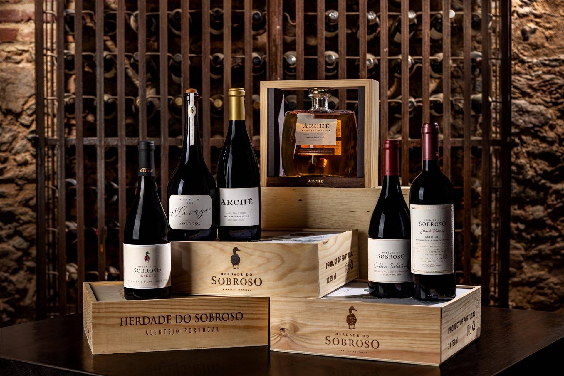 Wine Tour Super Premium com Prova de 5 Vinhos