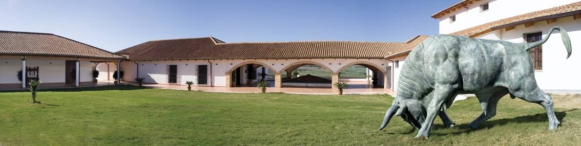 Bodega Huerta De Albalá - Winalist