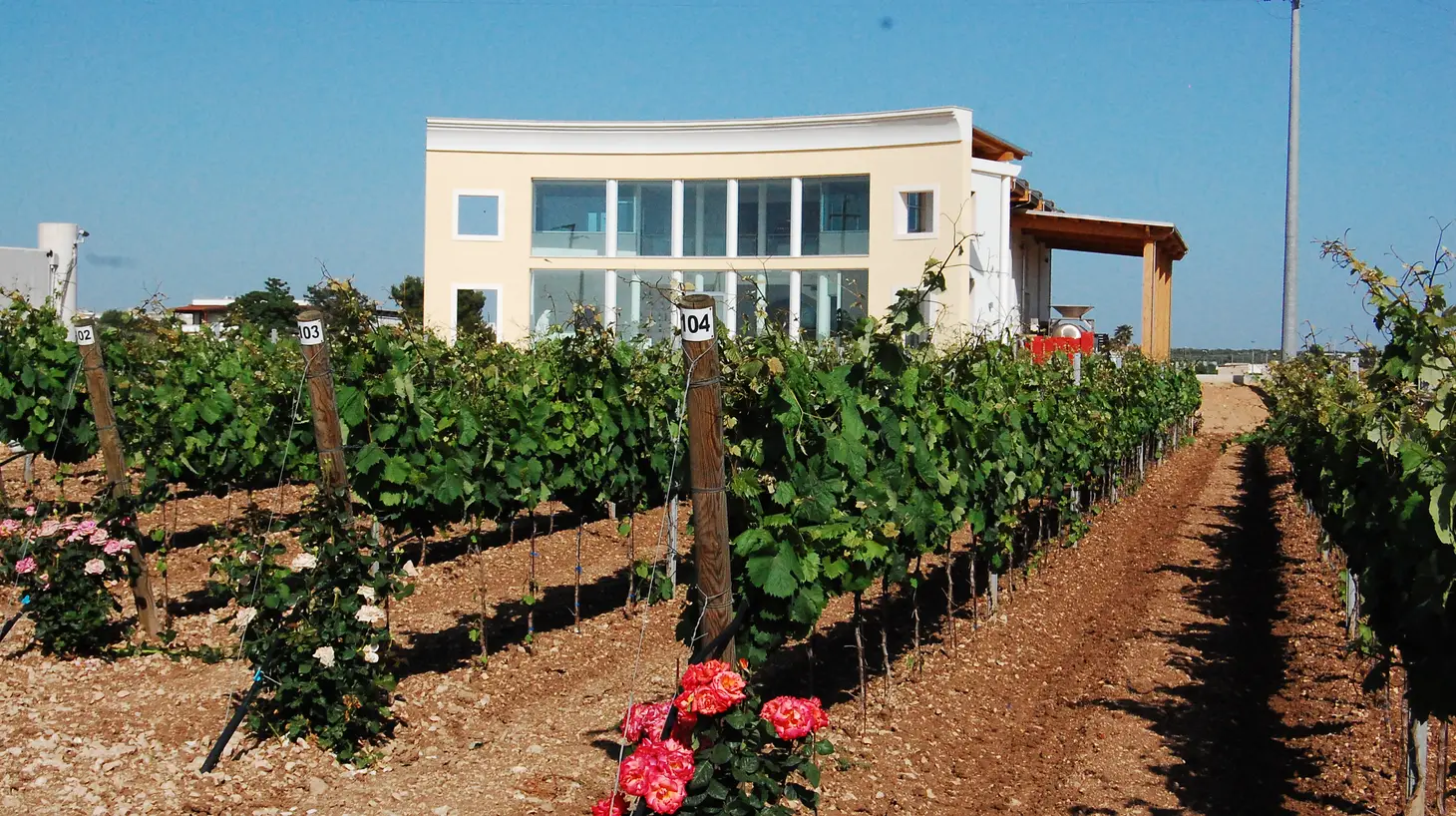 Que faire à Taranto : La ville fascinante des Deux Mers - 2025 - 22 - taranto,tarente taranto,tarente - Que faire à Taranto : La ville fascinante des Deux Mers - 2025 - 21