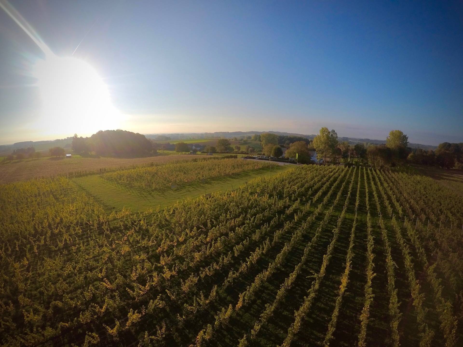 Bruut Winery - Winalist