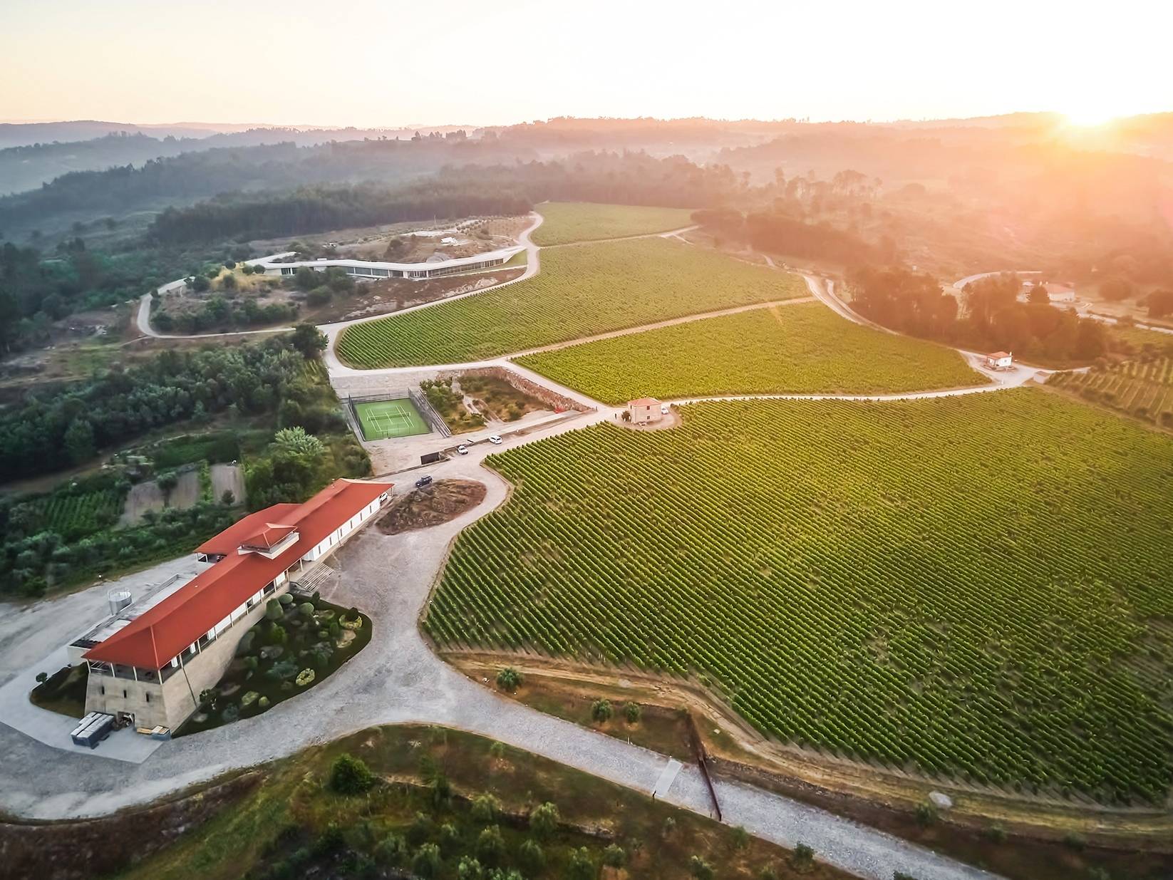 Quinta de Lemos - Winalist