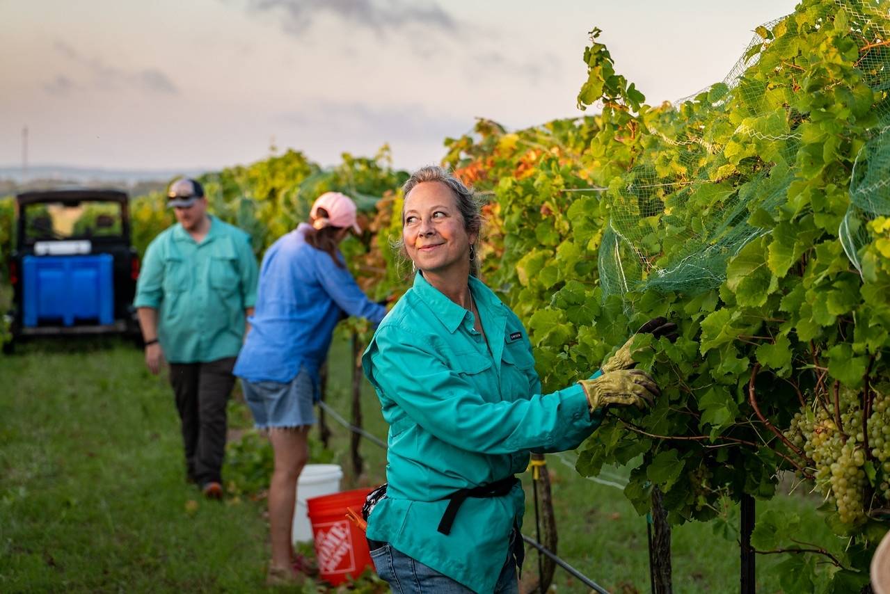 Texas Hills Vineyard - Winalist