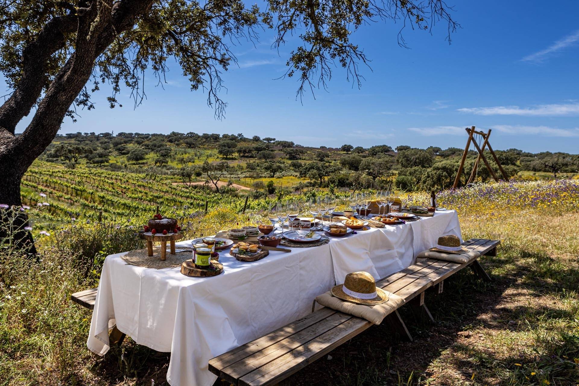 Pic-Nic de Luxo na Vinha