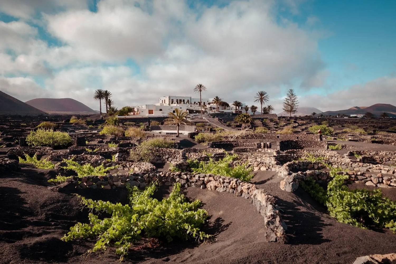 Que faire à Lanzarote : entre volcans, plages sauvages et vignobles - 2026 - 14 - Lanzarote Lanzarote - Que faire à Lanzarote : entre volcans, plages sauvages et vignobles - 2026 - 13
