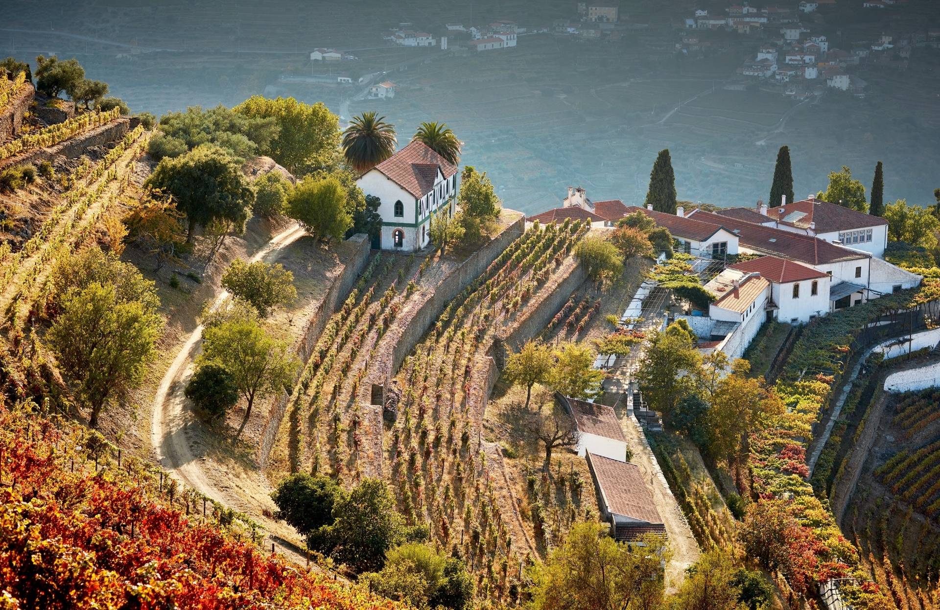 Quinta Do Noval - Winalist