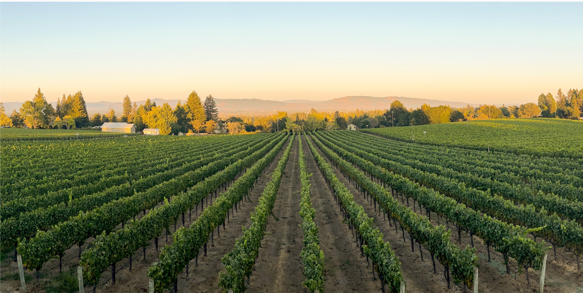 Inwood Valley Wine Tours & Tastings ⭐️ Best Wineries 2026