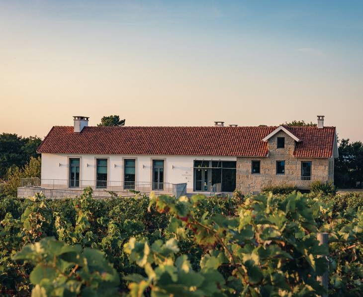 Guarda Wine Tours Tastings ⭐️ BEST Wineries 2025