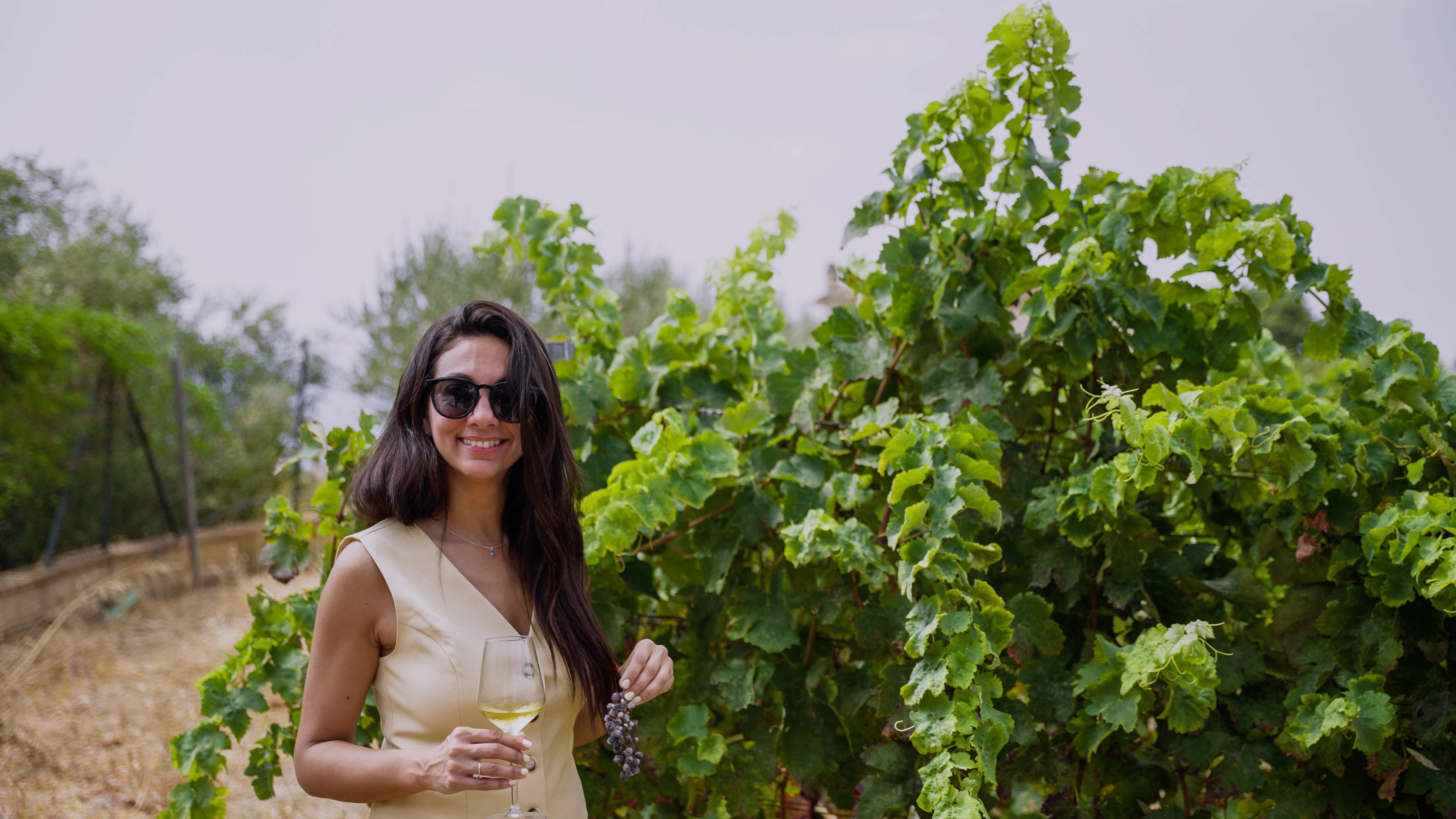 Visita al vigneto e alla cantina + 6 vini biologici e tapas