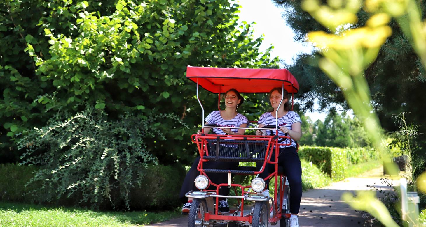 Beaujolais Wine Map: Guide to the Crus, Vineyards and Appellations - 2026 - 25 - beaujolais wine route,beaujolais wine map beaujolais wine route,beaujolais wine map - Beaujolais Wine Map: Guide to the Crus, Vineyards and Appellations - 2026 - 24