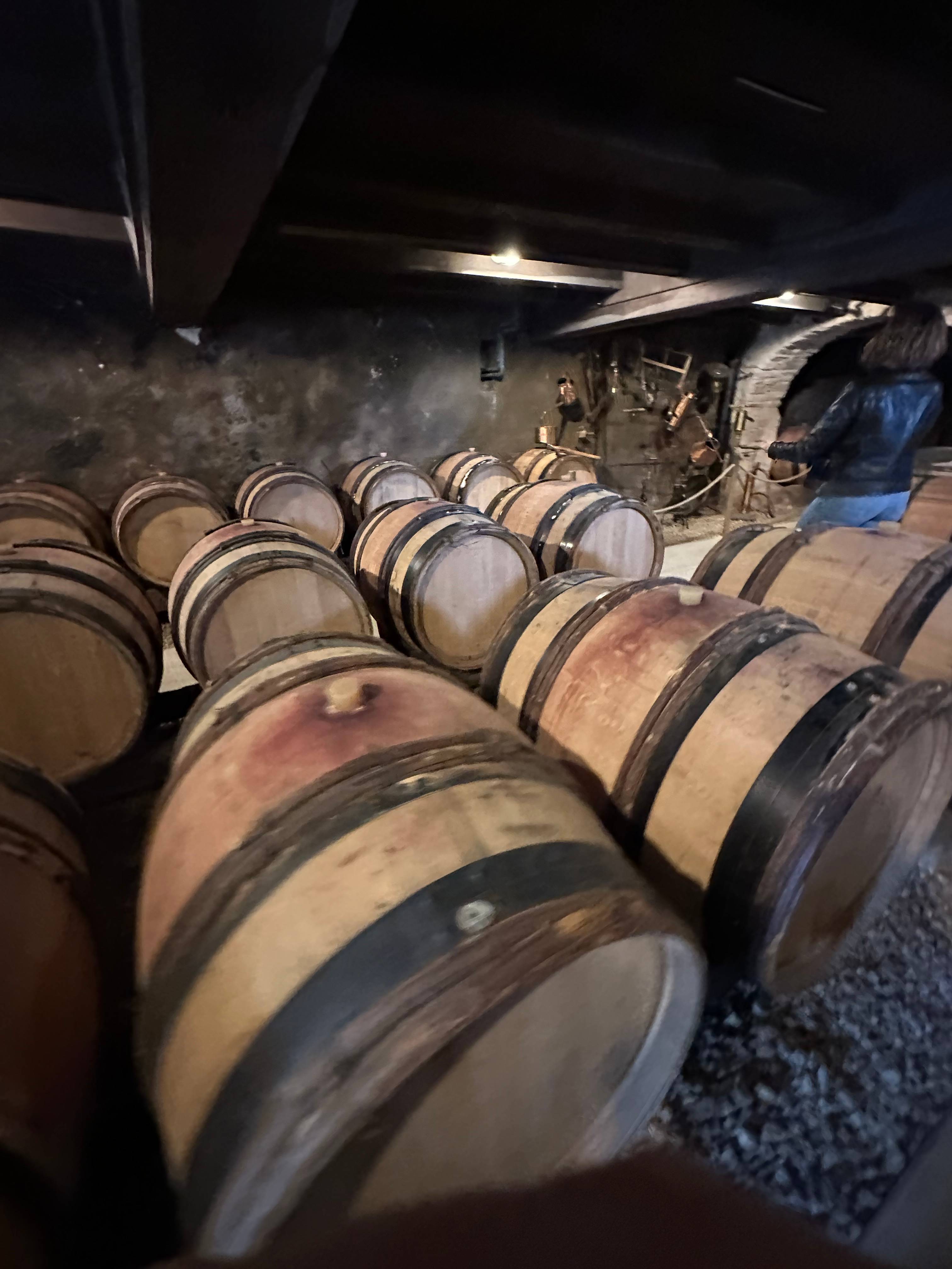 Parcours de la vigne au verre