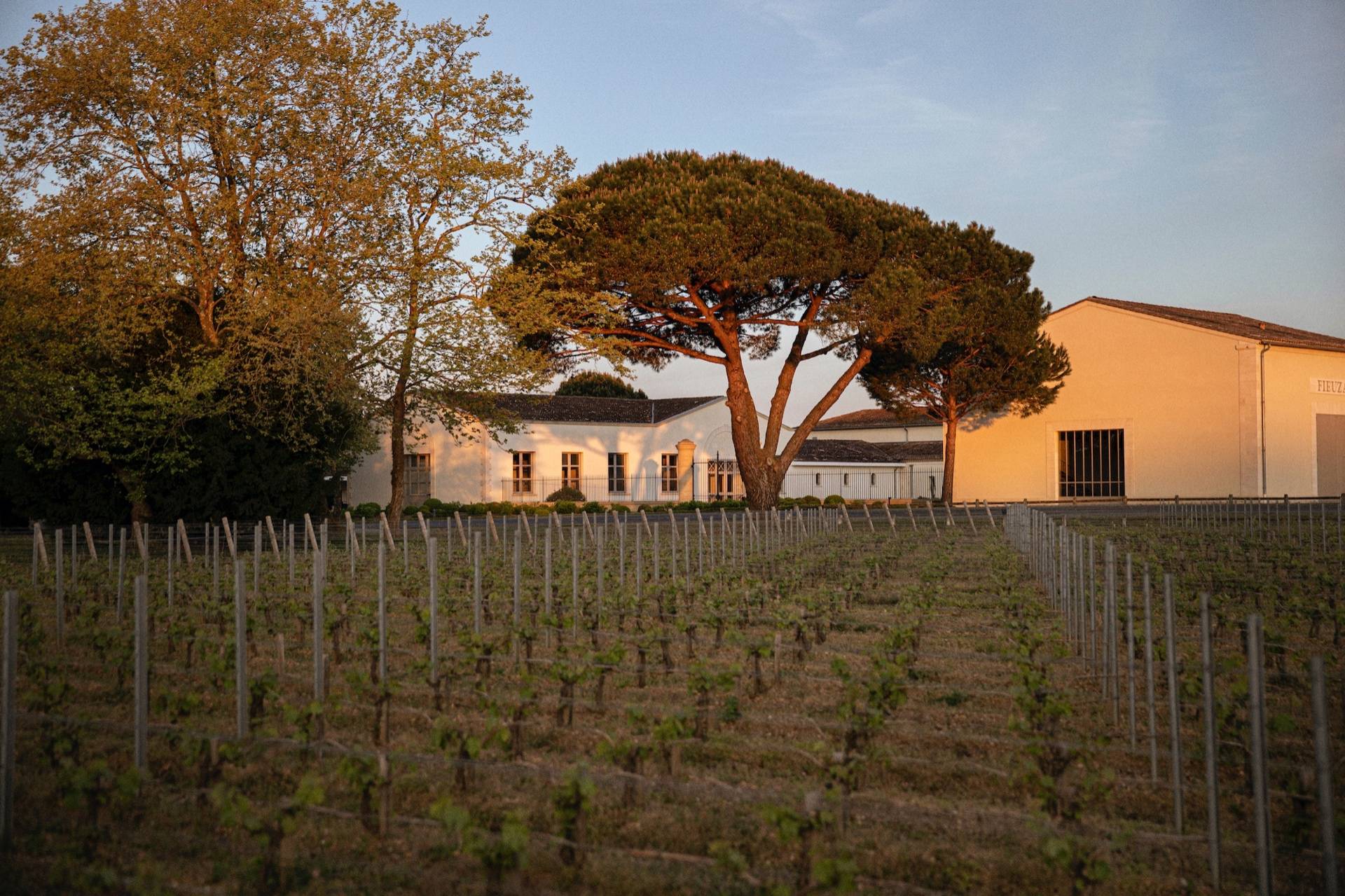 Château De Fieuzal - Winalist