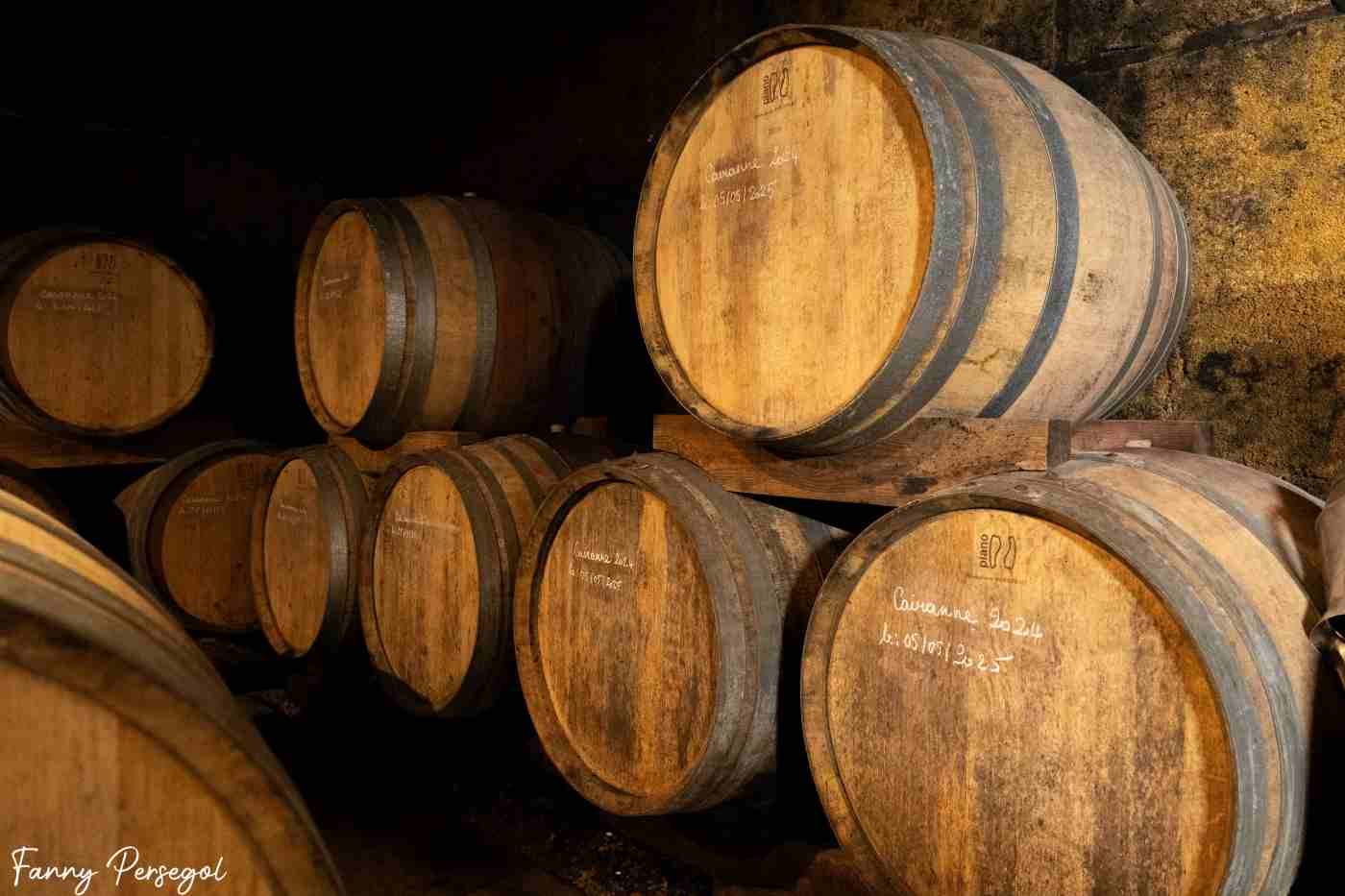 Visita Descoberta - Domaine Marcel Richaud - Winalist