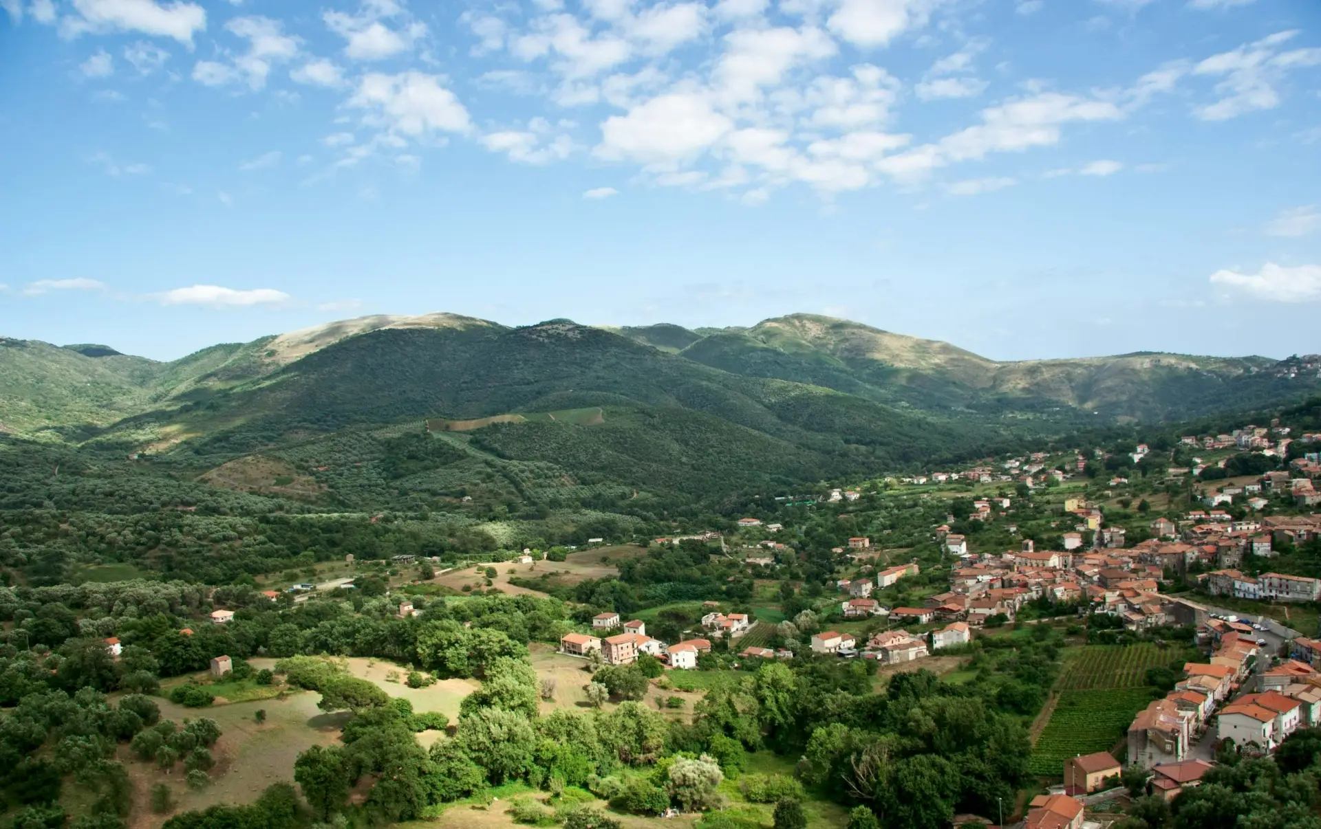  Donna Clara - Winalist