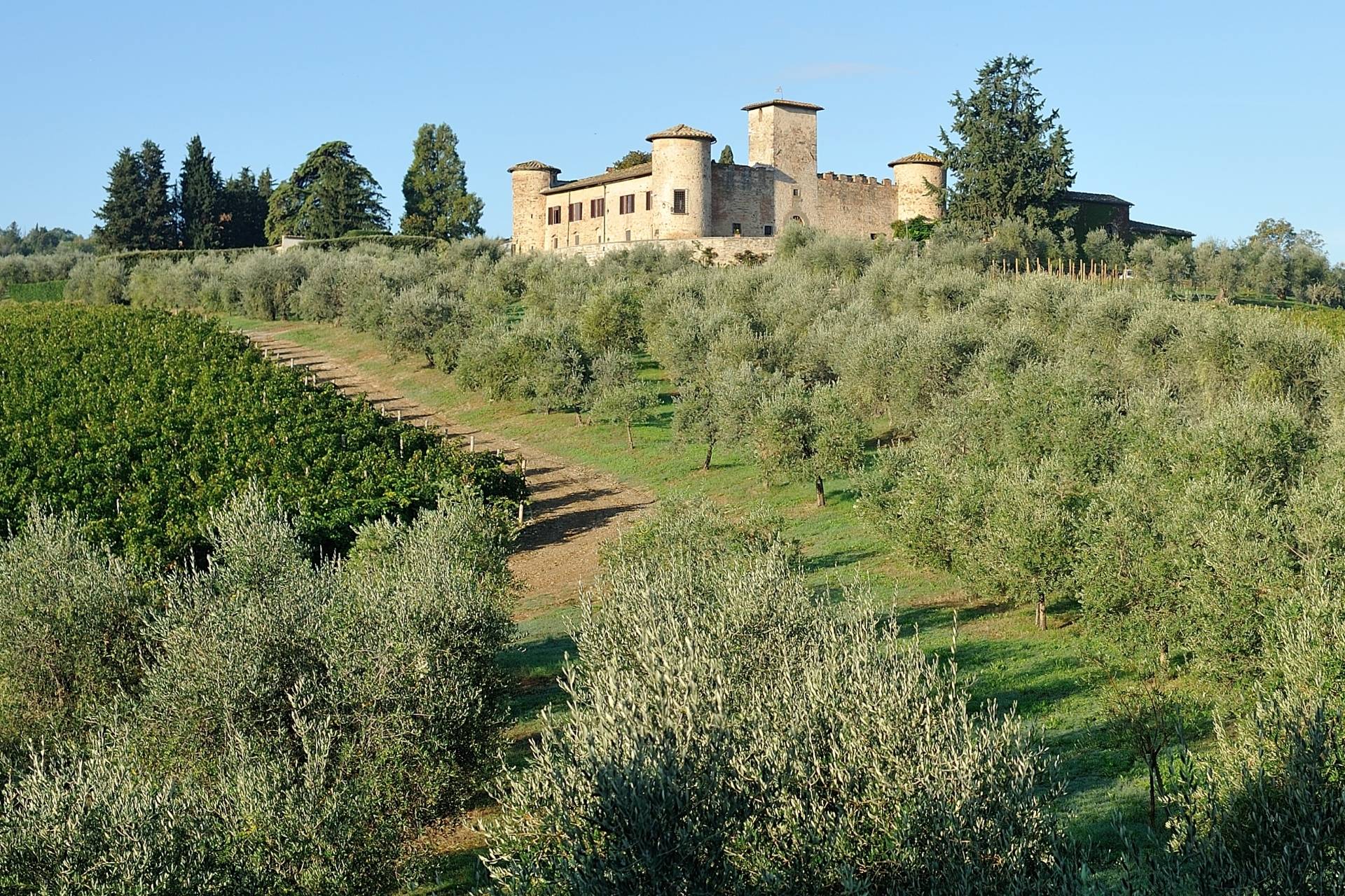 Castello Di Gabbiano ⭐️ Book Tours & Tastings