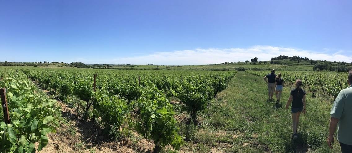Anqueven