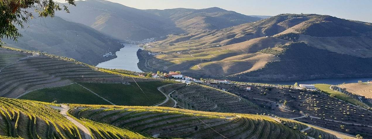 Casa Das Hortas - Winalist