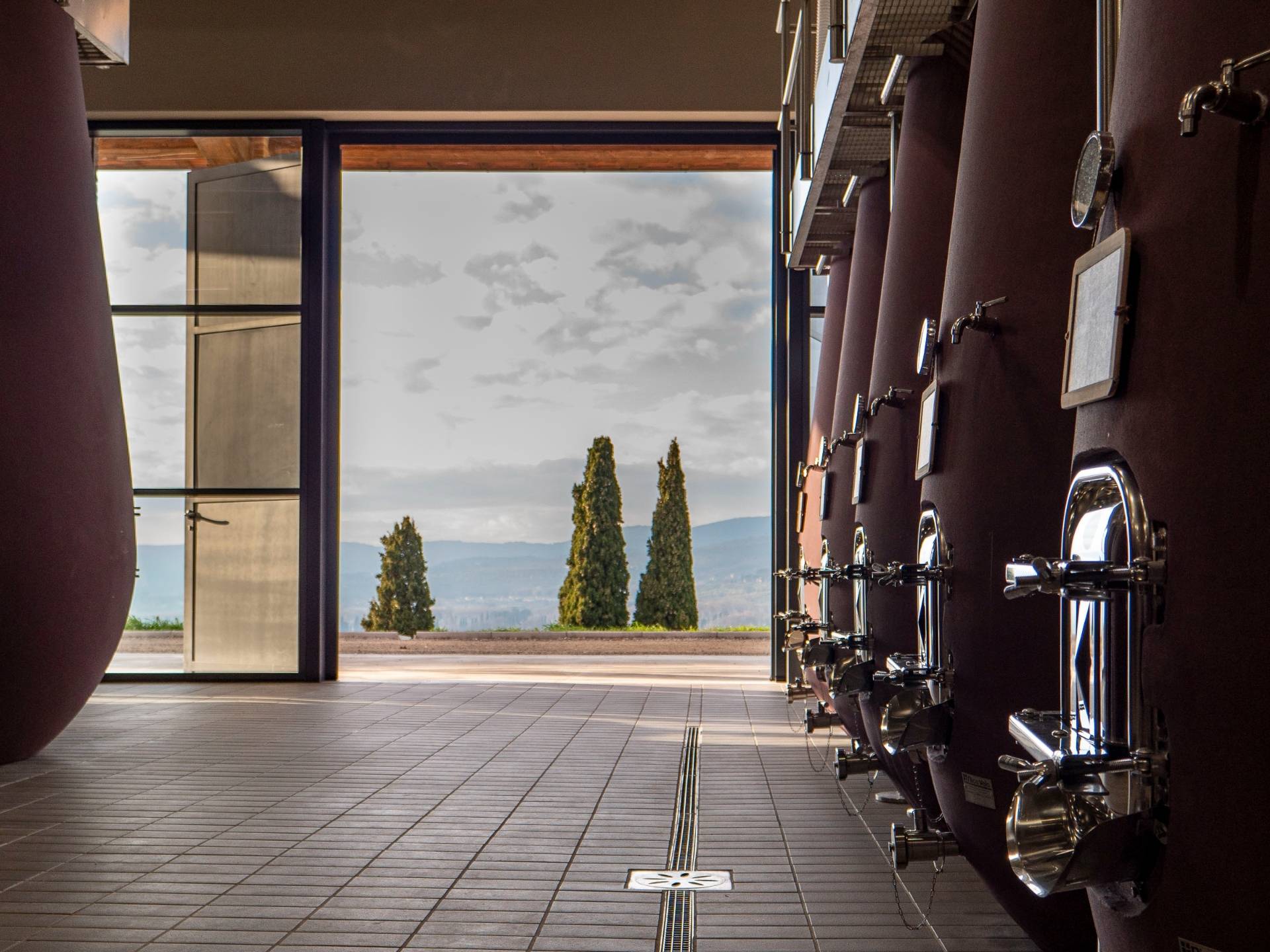 Viandante Del Cielo  - Winalist