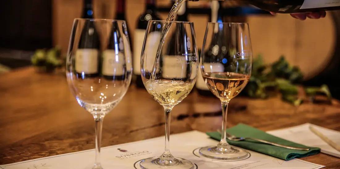 Wine Tour Super Premium com Prova de 5 Vinhos - Herdade Do Sobroso Wine & Luxury Boutique Hotel - Winalist