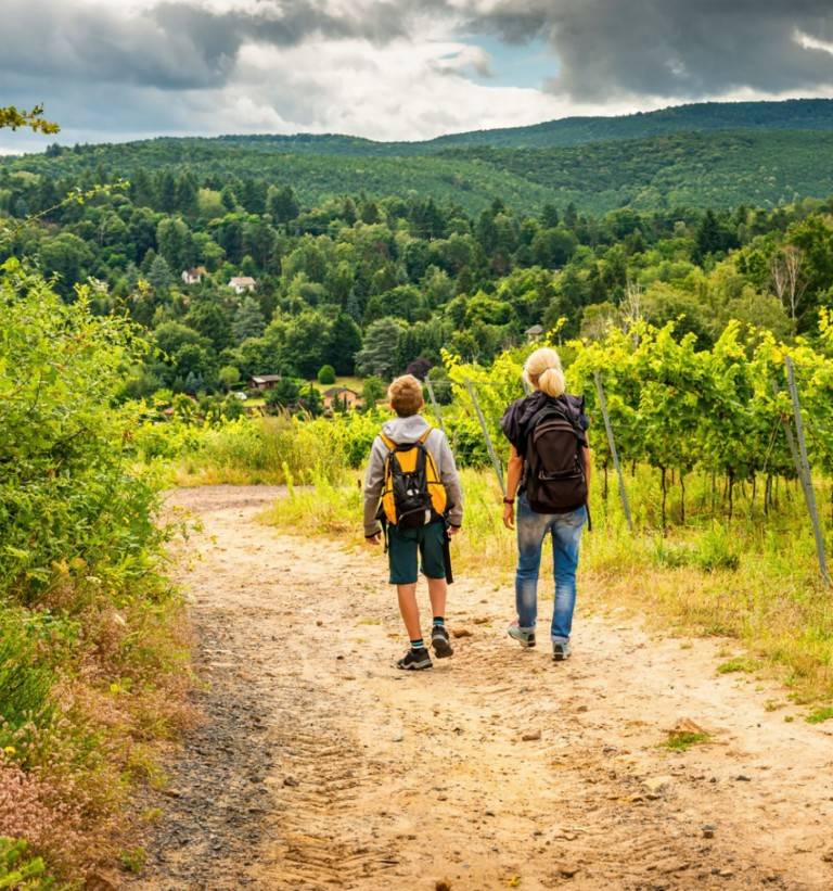 Hiking in Chianti Classico - Castello di Monterinaldi - Winalist