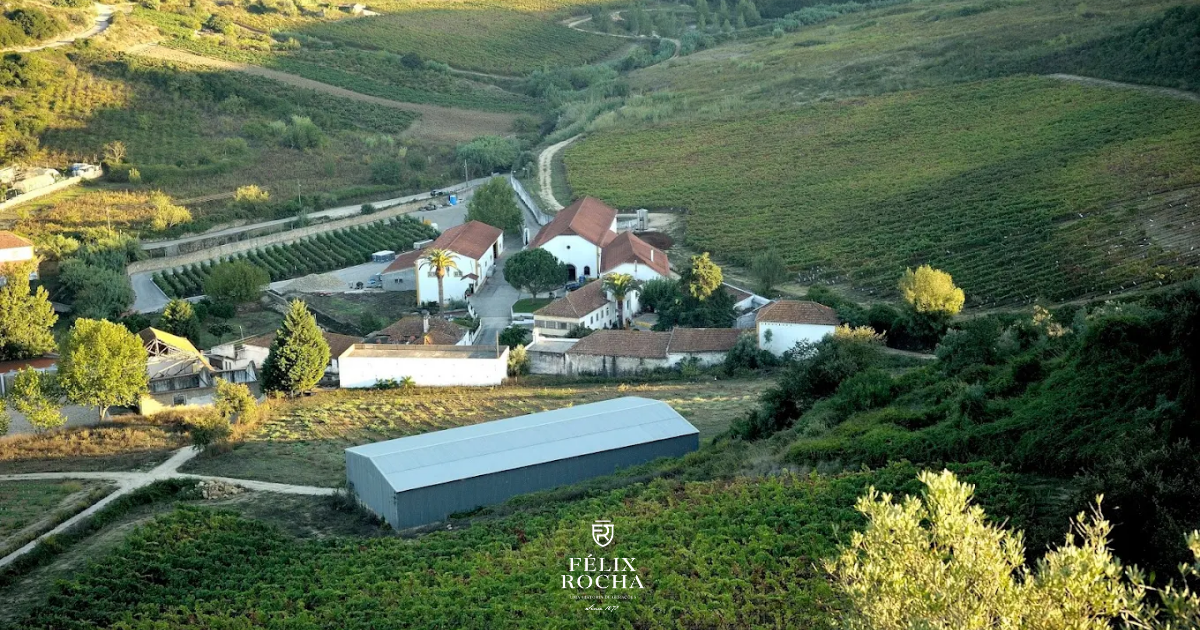 Félix Rocha - Winalist