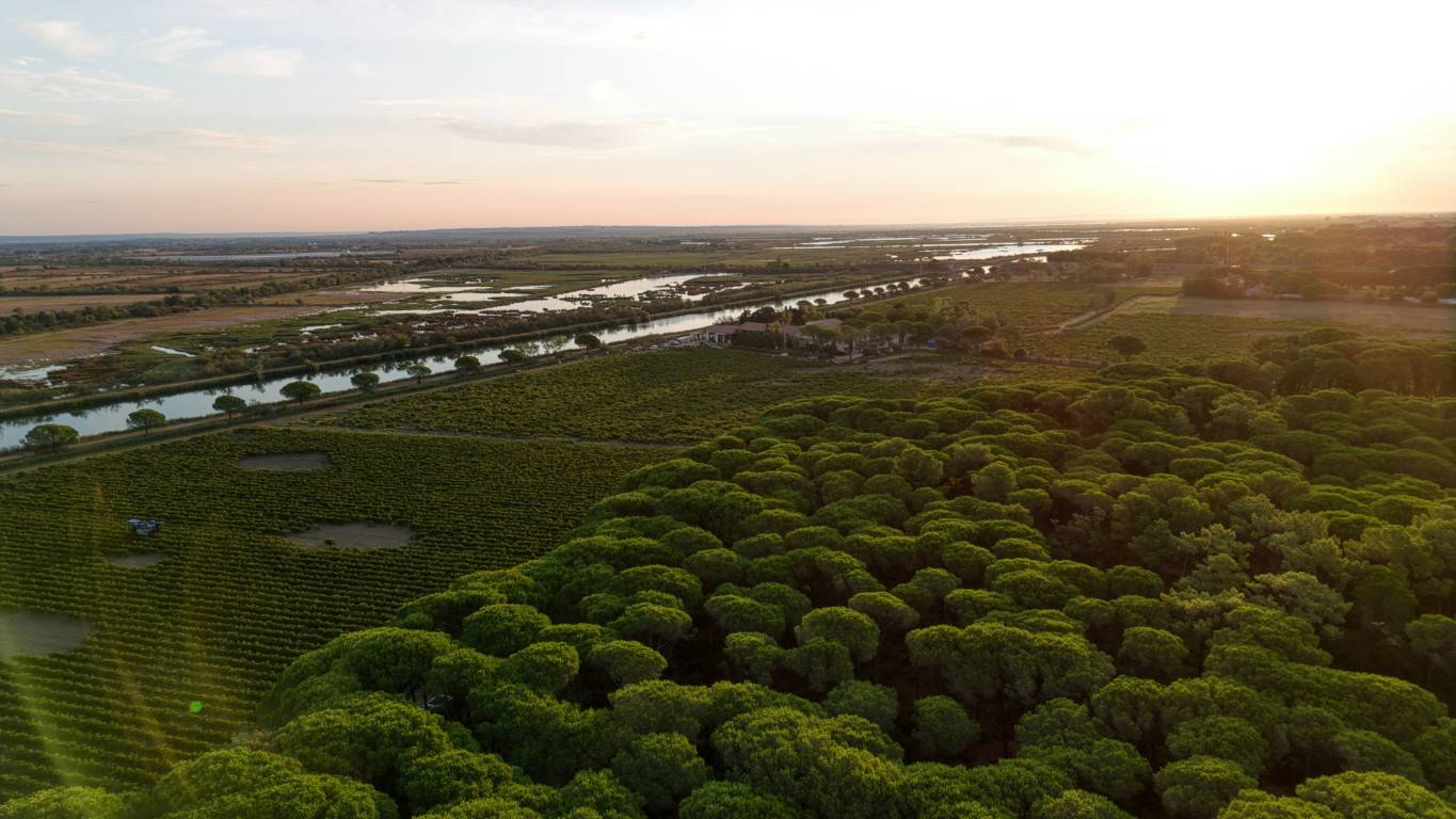 Visita e prova da propriedade - Domaine Terres de Sable  - Winalist