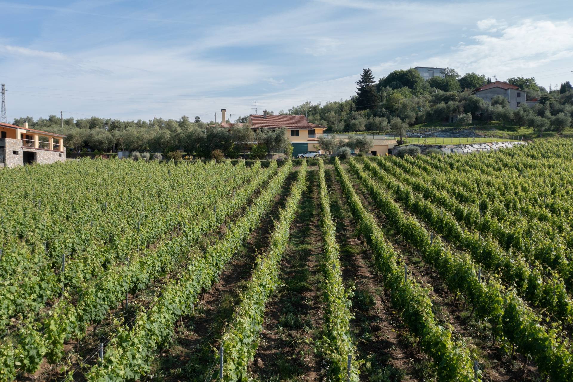 La Colombiera Wine & Relais - Winalist