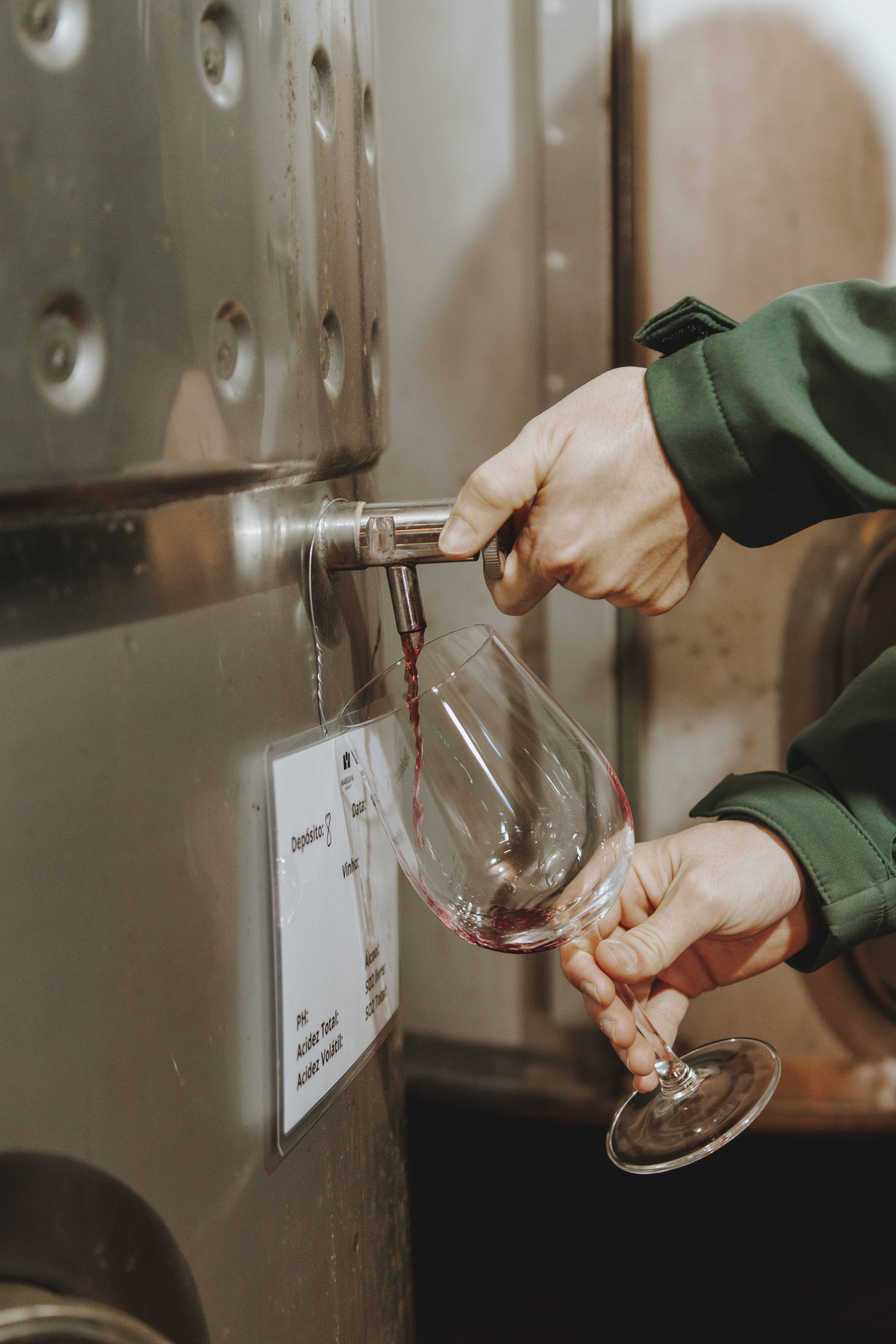 Topol 的Margaval Vinhos：预约参观