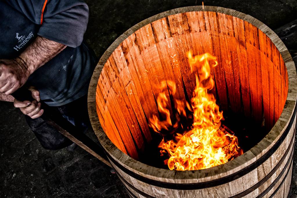 Visiter Cognac : les Incontournables à Voir et à Faire - 2026 - 9 - Visiter Cognac Visiter Cognac - Visiter Cognac : les Incontournables à Voir et à Faire - 2026 - 8